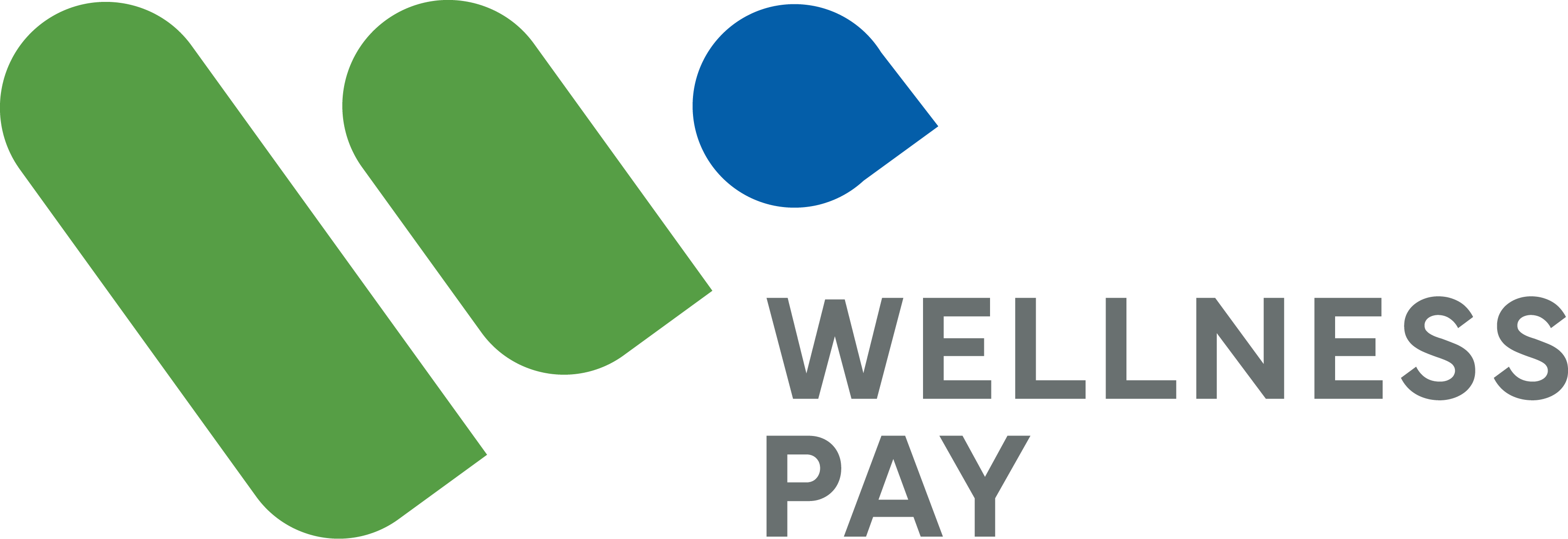 Wellness Pay Logo